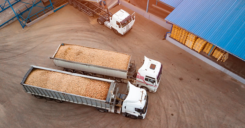 Sazonalidade, logística e os desafios de uma transportadora